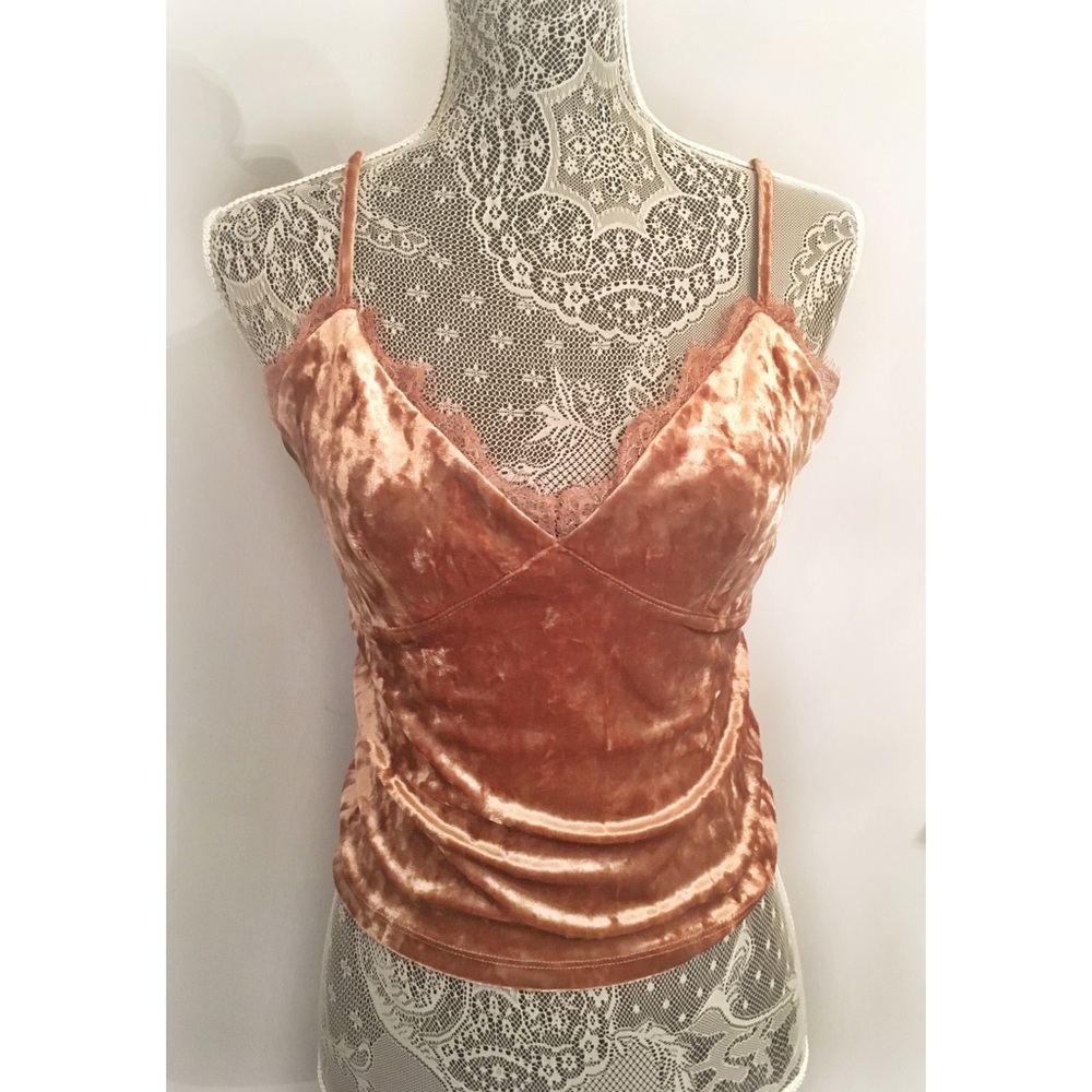 Forever 21 Velvet Lace Cropped Cami